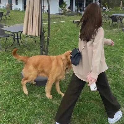 宿敌